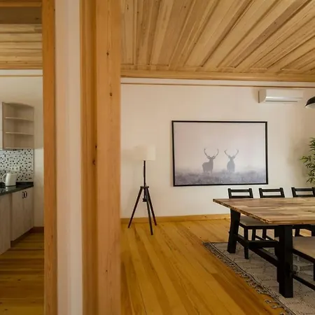 Newly Renovated Lavish Historic 6br House! #102 Istanbul