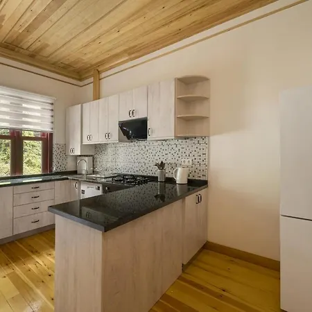 Newly Renovated Lavish Historic 6br House! #102 4*