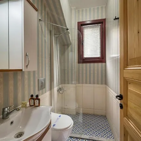 Newly Renovated Lavish Historic 6br House! #102 4* Istanbul