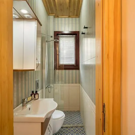 Newly Renovated Lavish Historic 6br House! #102 4* Istanbul